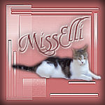 images/avatars/avatar-177.jpg