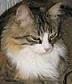 images/avatars/avatar-9.jpg