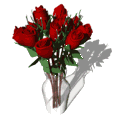 bl11 bl11
