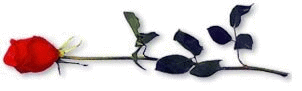 bl19 bl19