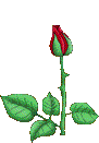 bl27 bl27