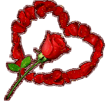 bl28 bl28