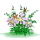 bl36 bl36