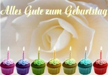 geb11 geb11