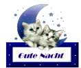 gan9 gan9
