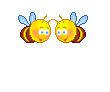 li24 li24