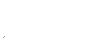 si11 si11