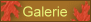 top_galerie.gif