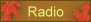 top_radio.gif