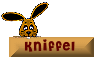 top_kniffel.gif top_kniffel.gif
