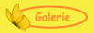 top_galerie.gif top_galerie.gif
